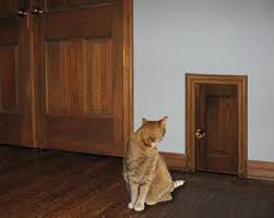 However you decide to keep your cat entertained, a designated 'play zone' is important in setting boundaries for where the action happens. It S My Cat S House I Just Live There