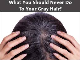 The findings give insights for future research into how stress affects stem cells and tissue regeneration. What You Should Never Do To Your Grey Hair Boldsky Com