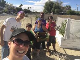 Breanna Sewell for Desert Community College District, TA 2, COD Board, 2016