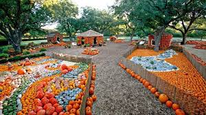 Events Activities Dallas Arboretum And Botanical Garden Dallas Arboretum Arboretum Fall Family Fun