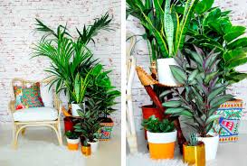 You can have one placed by the window or in a corner of the room. 21 Amazing Things To Buy From The Home Decorators Collection Plant Decoration In Living Room