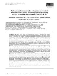 Image result for Stadmannia oppositifolia