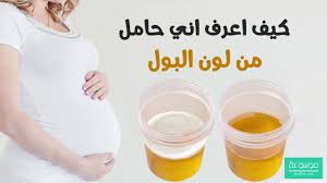 كيفية معرفة الحمل من لون البول Youtube