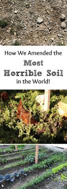 How to amend soil for garden. How To Amend The Most Horrible Soil In The World 5 Tips To Help You Improve Your Soil All Posts Healing Harvest Homestead
