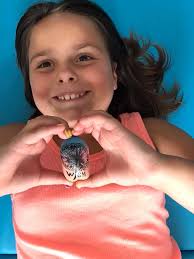 My mom Barbara Herold found this beauty this morning when we went for  radiation therapy.