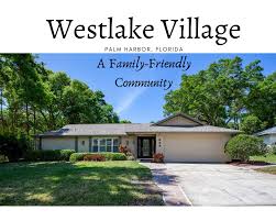 May 04, 2021 · bu adamda oyle bir hal var ki, sanki 1940'lardan 60'lara kadar yasamis, sonra yok olmus, sonra 2000'lerde dirilmis gibi. Westlake Village Palm Harbor Fl Real Estate Westlake Village Homes For Sale