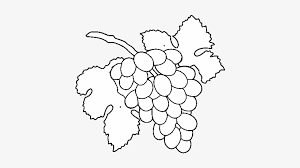 Dibujo De Racimo De Uvas Para Colorear Seedless Fruit Free Transparent Png Download Pngkey Halloween tree cat airship smoke fire explosion. uvas para colorear seedless fruit