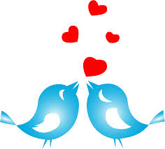 Colored Love Birds With Hearts Birds Transparent Background Png Images