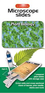 It prevents the slide from drying out when it's being. Microscope Slides Plant Biology Sciencewiz