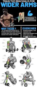 Wider Arms Forearm Workout Biceps Workout Gym Workout Videos