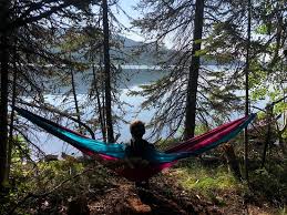 Moose creek ranch offers a stunning stopover for travelers passing through or an amazing destination for those who want to dawdle in the tetons or explore jackson hole from an affordable base camp. Lizard Creek Campground Bewertungen Fotos Grand Teton Nationalpark Wyoming Tripadvisor