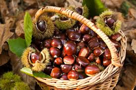 Buona abbuffata ecco come si cuociono le castagne!!! Castagne Al Forno Unadonna