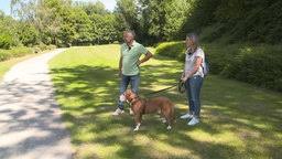 Simone sombecki | wdr fernsehen Tiere Suchen Ein Zuhause Tiere Suchen Ein Zuhause Fernsehen Wdr