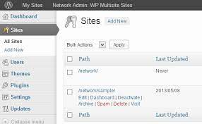 Pin On Wordpress Multisite