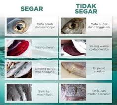 Agar rasanya gurih dan tidak anyir, beli ikan laut yang segar dengan berat di atas 500 gram per ekor. 21 Jenis Ikan Yang Dijual Di Pasar Jangan Tak Kenal Pula Bila Kena Suruh Beli Nanti