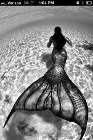 Black And White Mermaid Black White Mermaid Mermaid Mermaid Life Mermaids And Mermen