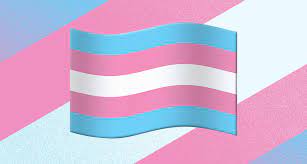 Transgender people identify as a gender that doesn't match the gender they were assigned at the transgender flag was created by monica helms in 1999. Transgender Peoples Got That Flag Emoji