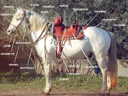 Selle Camargue Reparation Atelier Sellerie Mailhan 30300 Fourques Camargue