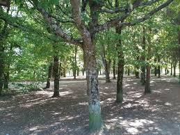 Bienvenue sur le site officiel de la ville de chartres. Le Parc De Loisirs Parks 6 Allee Paul Cezanne Chartres De Bretagne Ille Et Vilaine France Yelp