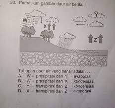 Penguapan atau evaporasi adalah proses perubahan molekul di dalam keadaan cair dengan spontan menjadi gas. Tahapan Daur Air Yang Benar Adalah A W Presipitasi Dan Y Evaporasib W Presipitasi Dan X Brainly Co Id