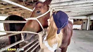 Horse And Girl XXX Porn Videos - XXXBP