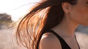 Darlene L. Turner Fatal Forensic Investigation