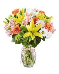 5 out of 5 based on 1 user ratings. Bradenton Florist Flower Delivery By Oneco Florist
