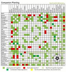 The Why Of Companion Planting Farming Under The Roof