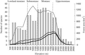 Image result for Balthasaria schliebenii
