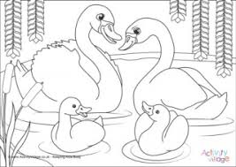 Check spelling or type a new query. Swans
