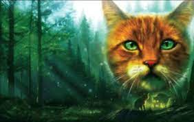 darkness within textless cover in 2021 warrior cat warrior cats art warrior cats books