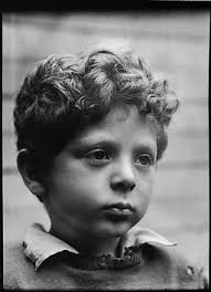 Results for "walker evans"