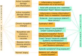Pain is nearly always present and typically is severe and accompanied by tenderness of the eye to touch. A Pattern Based Approach To The Interpretation Of Skeletal Muscle Biopsies Modern Pathology