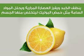 Pin By نهاد الجبالي On معلومان عامه Health Fruit Orange