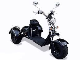 ブレイズ blaze evトライク ev trike 電動トライク 電動スクーター トライクバイク