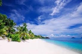 Maybe you would like to learn more about one of these? Mana Island Resort Spa Fiji 4 Mana Island Mamanuca Islands Fiji 53 Guest Reviews Book Hotel Mana Island Resort Spa Fiji 4