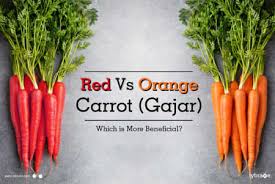 Red Vs Orange Carrot Gajar Which Is More Beneficial By Dr Dinesh Bajpai Lybrate