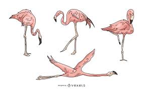 Popular pink flamingo logo of good quality and at affordable prices you can buy on aliexpress. Pink Flamingo Illustration Set Vector Download