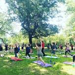 Free Somerville Community Yoga in the Park