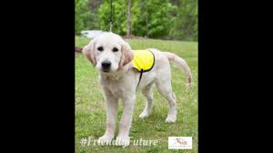 Maybe you would like to learn more about one of these? Animal Food Bank Calgary