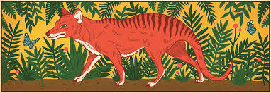 Is the tasmanian tiger alive and well and living on the mainland? The Obsessive Search For The Tasmanian Tiger The New Yorker