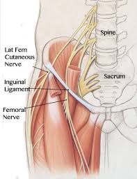 Check spelling or type a new query. Meralgia Paresthetica Spine Specialist