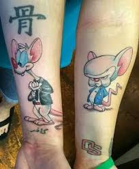 Removes easily with baby oil or makeup remover. 15 Pinky And The Brain Ideas In 2021 Pinky Brain Animaniacs