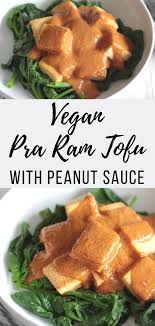 Vegan Thai Tofu With Peanut Sauce Low Carb Easy Le Petit Chef Recipe Vegetarian Recipes Easy Dinner Easy Vegetarian Vegetarian Recipes Dinner