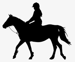A person riding a horse, jockey on a racehorse, drawn in a cartoon style. Horse Rider Equestrian Silhouette Clip Art Horse Back Riding Clip Art Hd Png Download Kindpng
