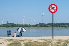 Zoo antwerpen is een dierentuin die behoort tot de kmda. De Grote Revival Van Sint Anneke Plage Masterplan Moet Glorie Van Weleer Herstellen Met Meer Groen En Horeca Op Het Strand Antwerpen Hln Be