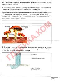 тетрадь для практических работ по географии 8 класс 2018 Gdz Biologiya 8 Klass Dragomilova Prakticheskie Raboty Movie Organization Algebra Just Cause 2