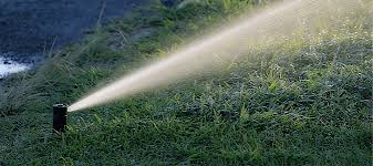Turn off main water supply to sprinkler system after identifying the trouble valve. Why Are My Sprinkler Heads Not Popping Up Abc Blog