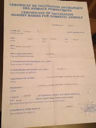 La dgal (direction générale de l'alimentation), dans sa procédure standard d'exportation de carnivores domestiques, le considère même comme. Animaux Au Maroc Comment Voyager Avec Son Chien Ou Chat Au Maroc