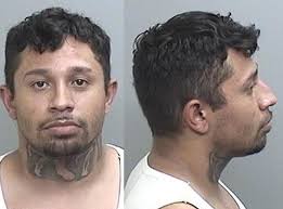 Mendocino County Today: Thursday, August 19, 2021